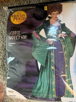 Winnie Hocus pocus costume