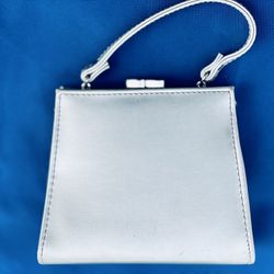 Lady’s Silver Clutch/Purse