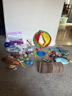 New cat toys