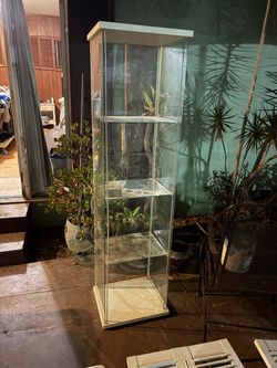 Ikea Detolf Display case