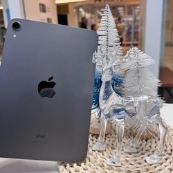 Apple iPad Mini 6 Tablet