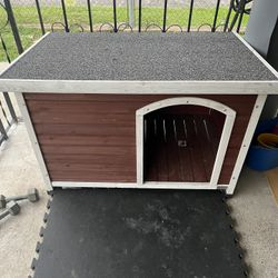 Dog House 