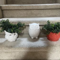 Owl Decor 