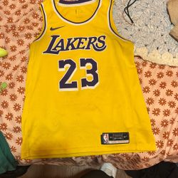 LeBron Jersey 21-22