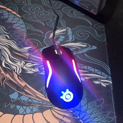 Steel Series Gaming Mouse