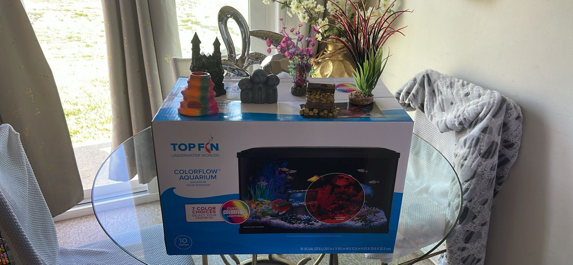 top fin fish tank
