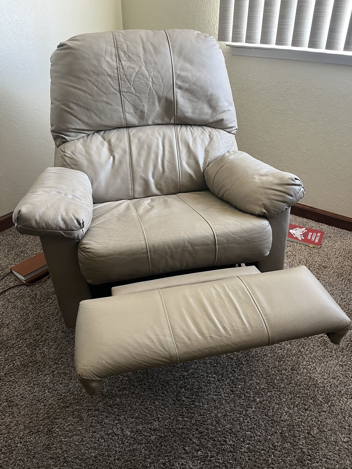 Leather Recliner