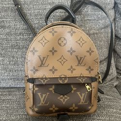 Louis Vuitton Palm Springs Reverse Monogram Mini