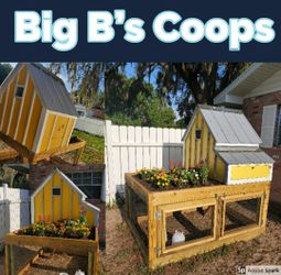 Chicken Coop/Flower Garden