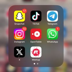 iPhone 14 Plus TikTok App