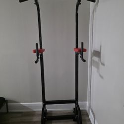 ReLife Pullup/Pushup Station
