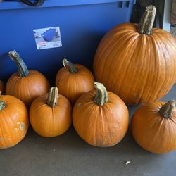 Pumpkins