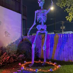 Giant Skeleton 12ft Used
