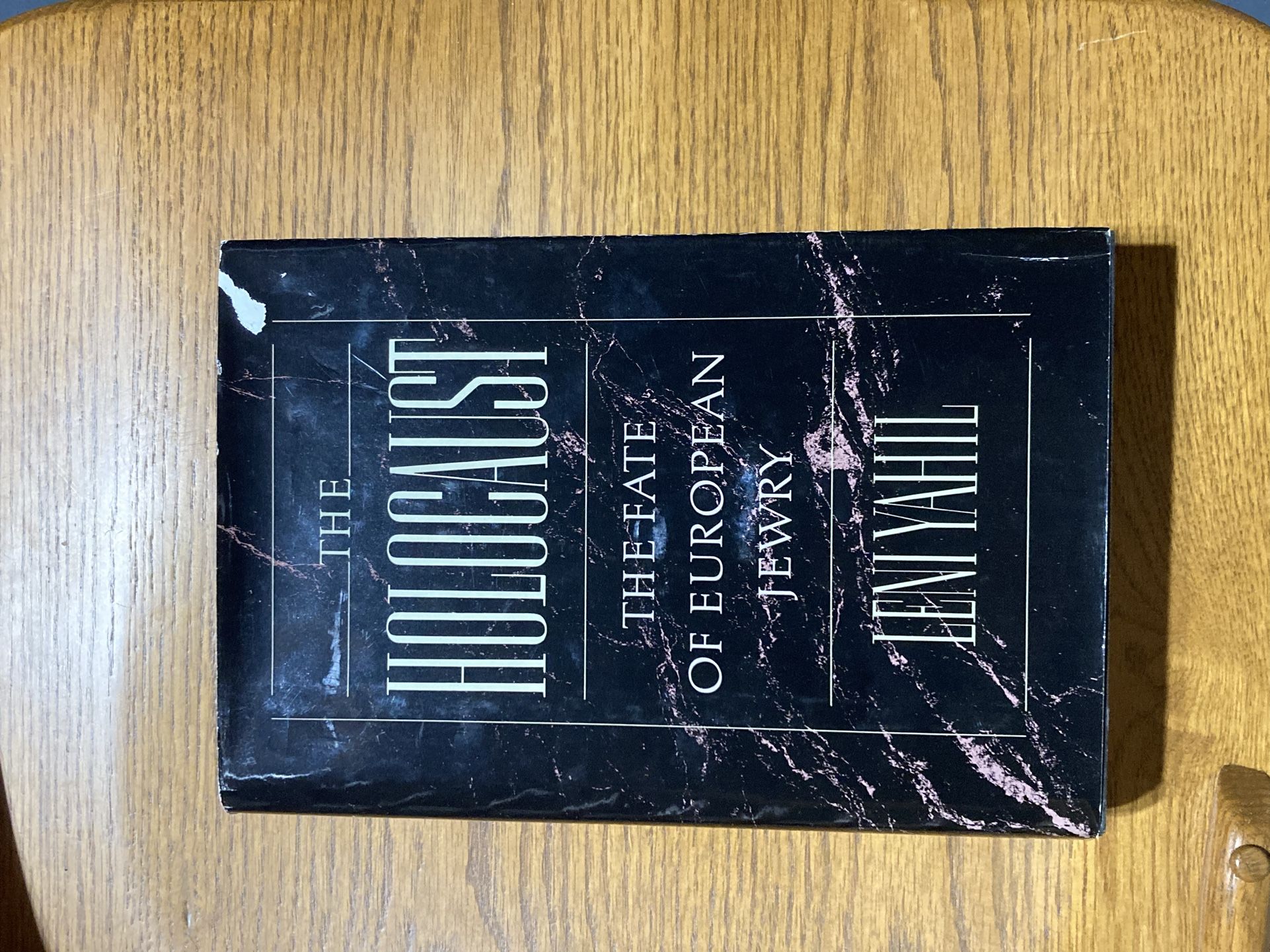 holocaust novel