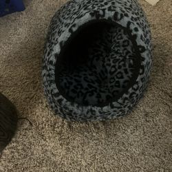 Kitty Bed 