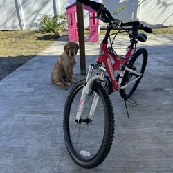 Mongoose Dual Suspension Lightweight 