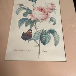 Flower print original with authenticity papers