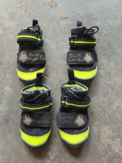 Dog shoes