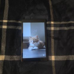 Samsung Galaxy Tab A 8.0 (SM-T290)