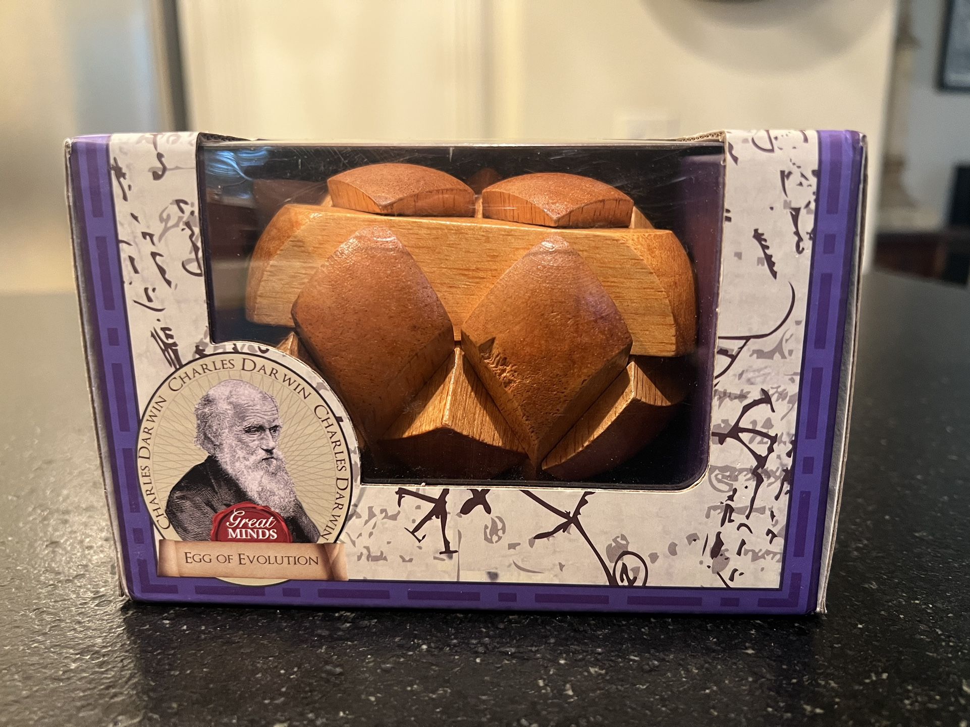 Professor Puzzle Darwin's Egg of Evolution Puzzle