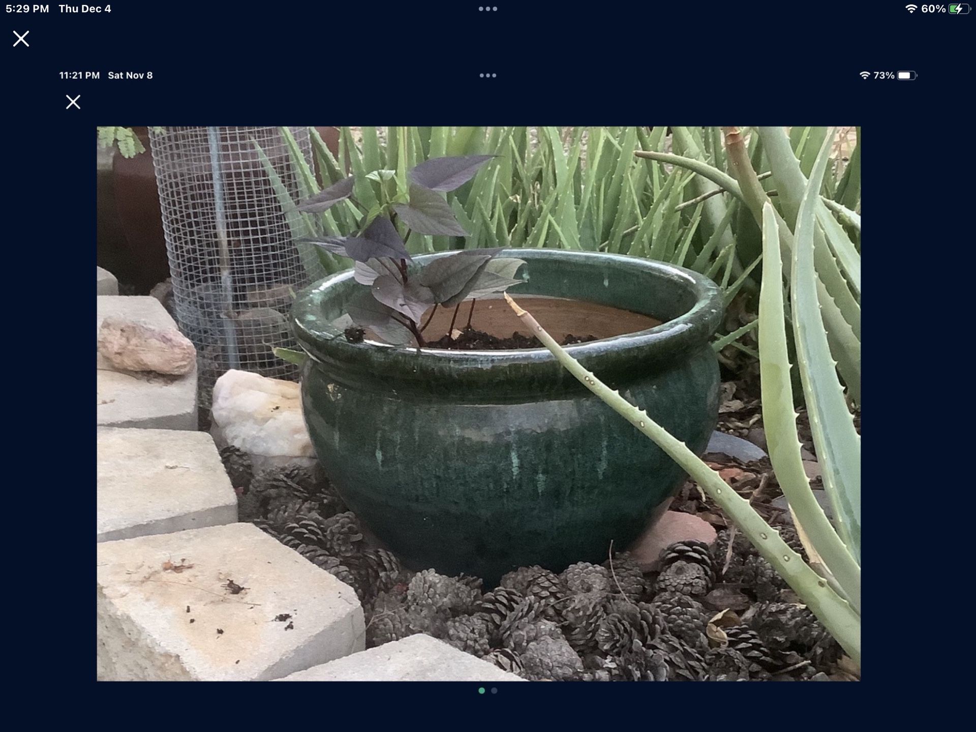 Very Large Flower Pot. Gardening Accessories. Plant