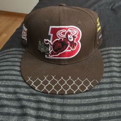 Chicago Bulls Artist Series Hat 