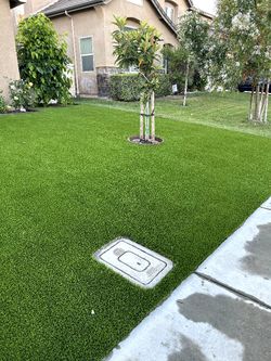 Artificial Turf Fake Grass