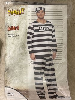 Men’s Robber costume