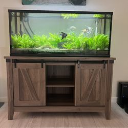 55 Gal Aquarium