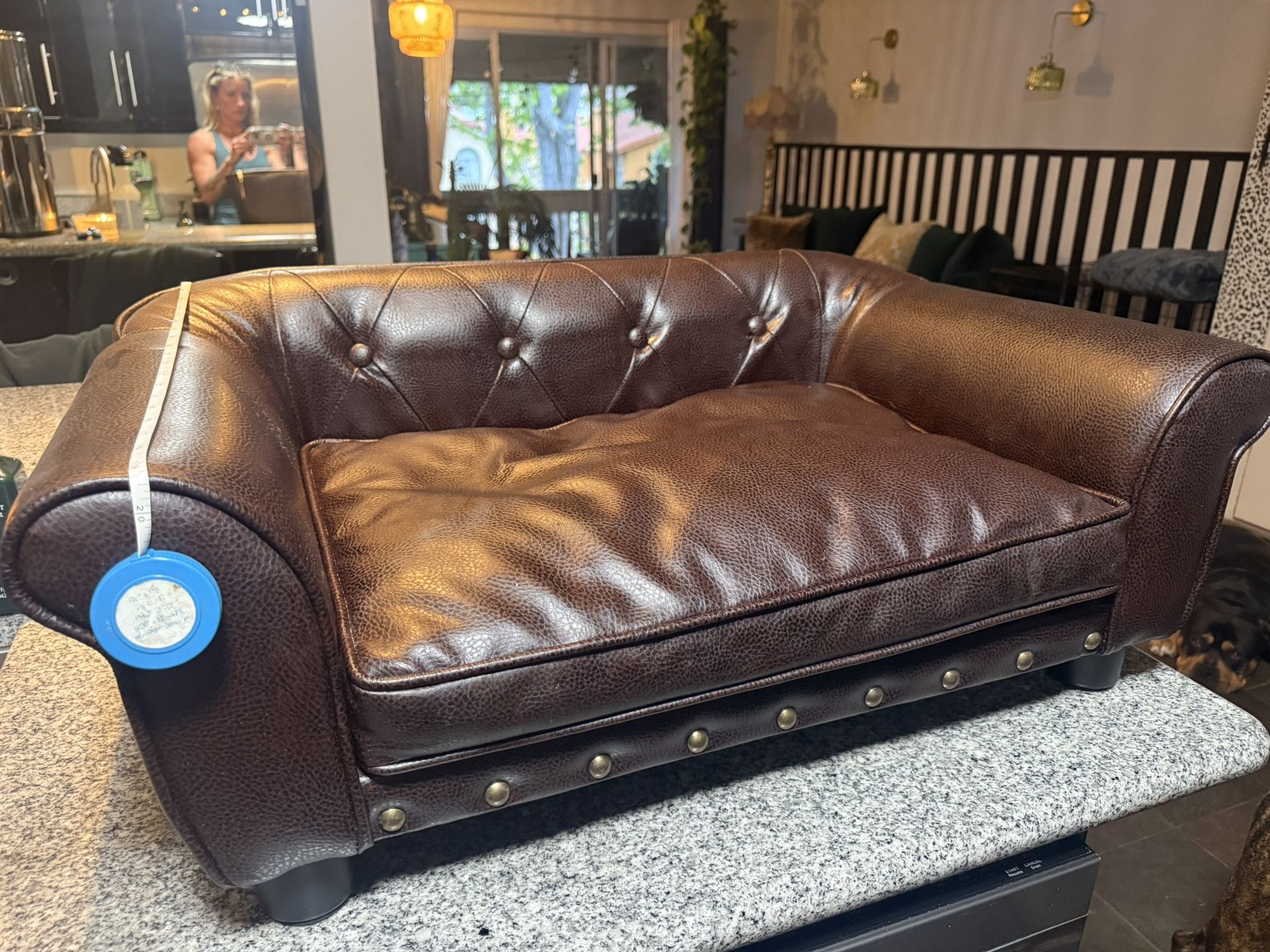 Dog Couch