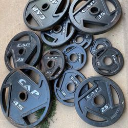 Olympic Style Weights All For 300