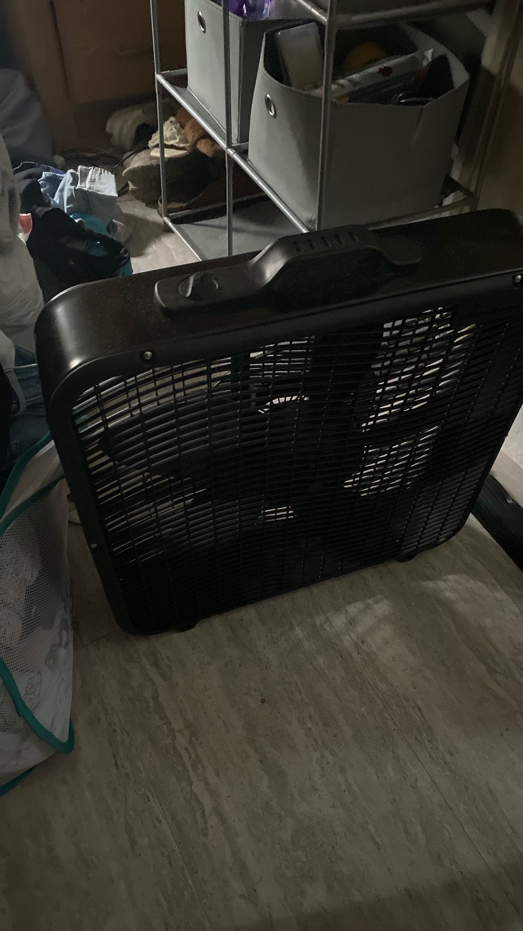 Fan