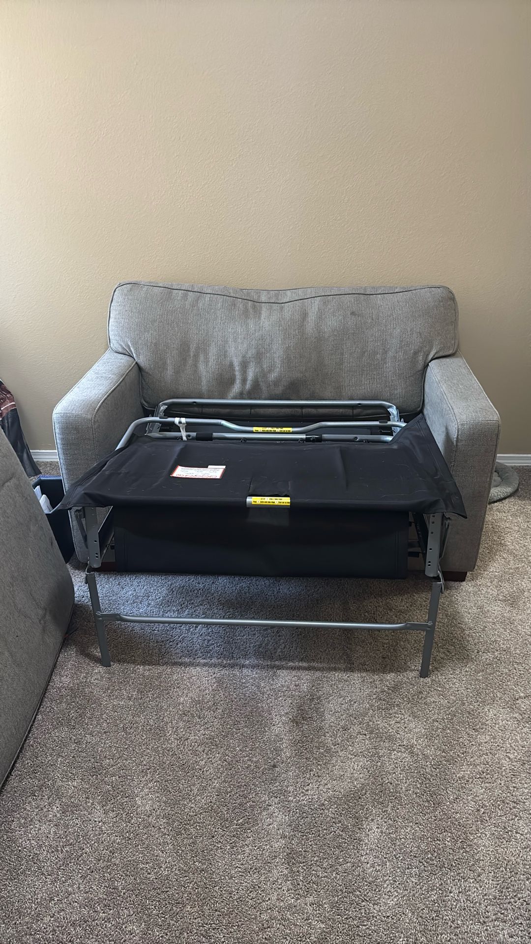 Couch, With Pull Out Twin Bed