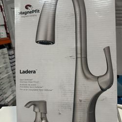 Pfister Ladera Single-Handle Pull Down Sprayer Kitchen Faucet with Soap Dispenser in Spot Defense St