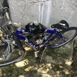 Moto Bike 