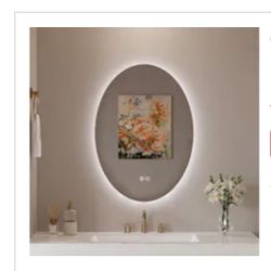 Oval LED Anti-fog Wall Bathroom Vanity Mirror 40x28