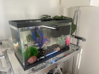 5.5 Gallon Fish Tank