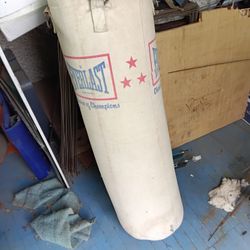 Punching Bag