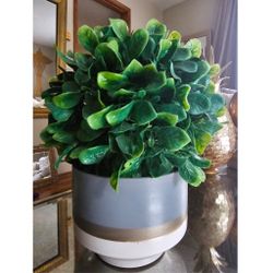 Ceramic White Gray Gold Pot Faux Boxwood Foliage Plant