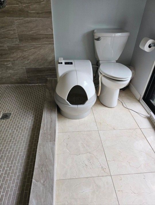 BEST Self Cleaning Cat Litter Box