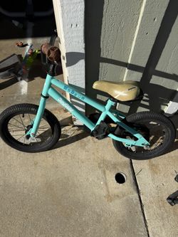 Toddler Bike