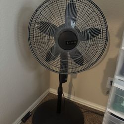 fan 