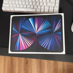 iPad Pro 11 Inch (2022)