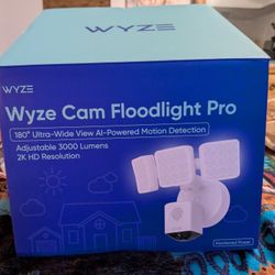 Floodlight Security Camera 