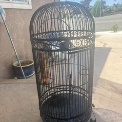 Bird Cage For Sale 