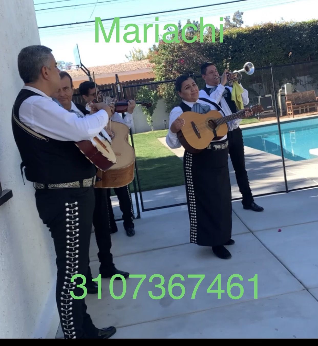 Trompeta Melodía De Mariachi