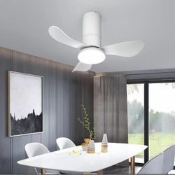 26 Inch Ceiling Fans with Lights, 3 Blade Low Profile Small Ceiling Fan with Light for Bedroom Dinin