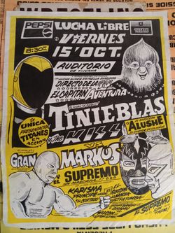 Vintage Mexican Wrestling Tijuana poster