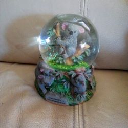 kola bear  Snow globe. 