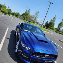 Ford Mustang Ecoboost 50 Years Edition 